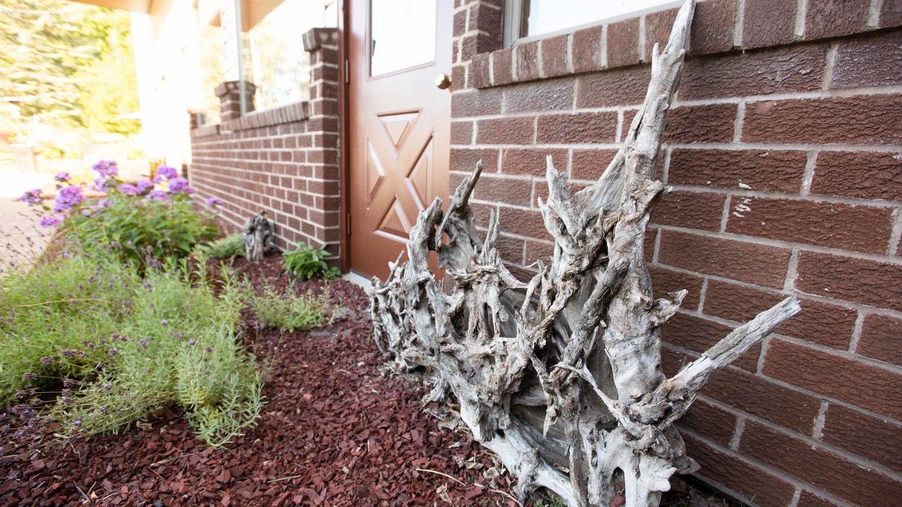 Photo of Outdoor in Massena