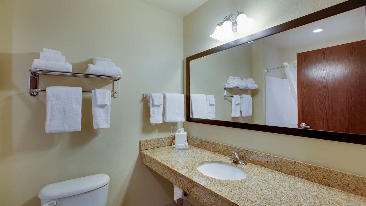 Photo of Bathroom in Durand