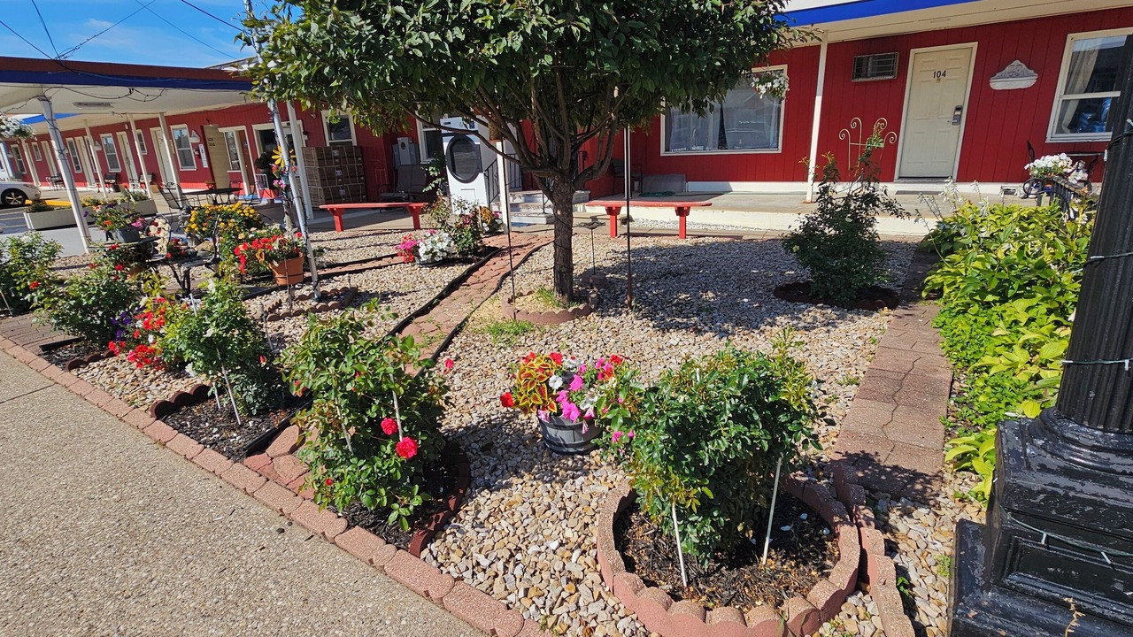 Photo of Outdoor in Sparta