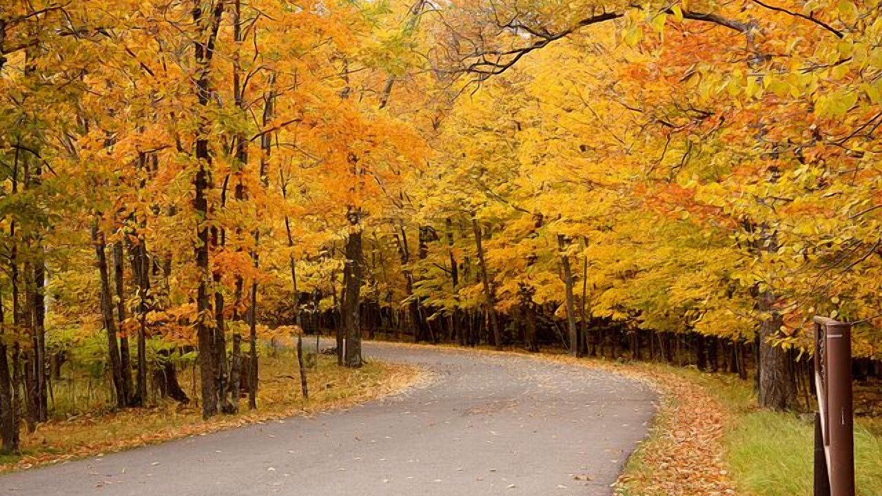 Photo of Outdoor in Onamia