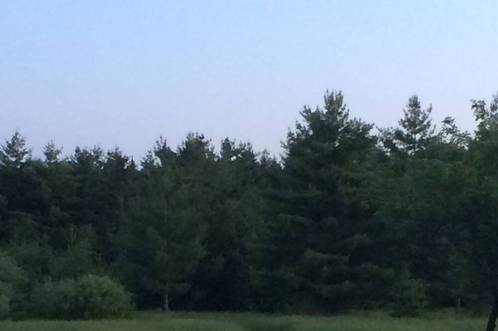 Photo of Outdoor in Brule