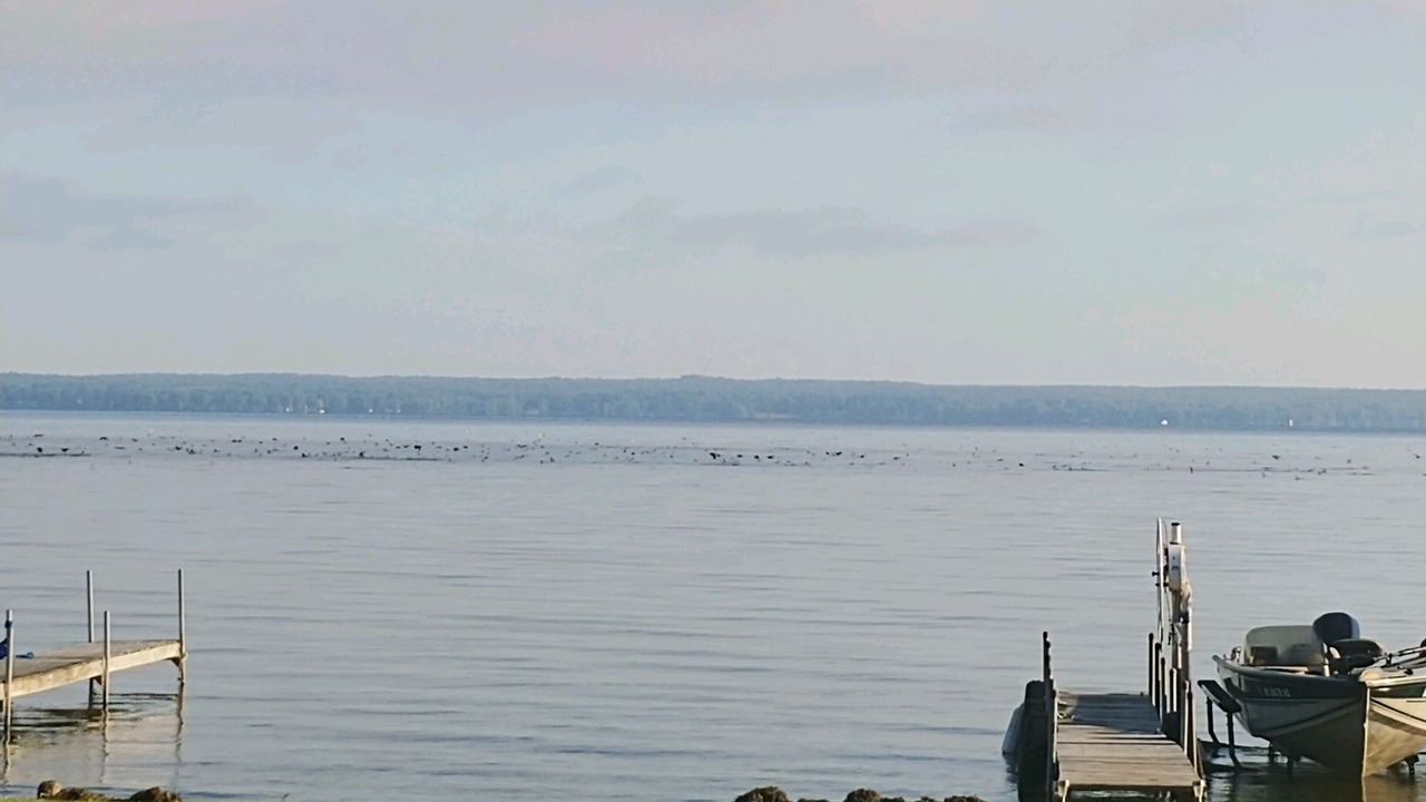 Photo of Others in Bridgeport