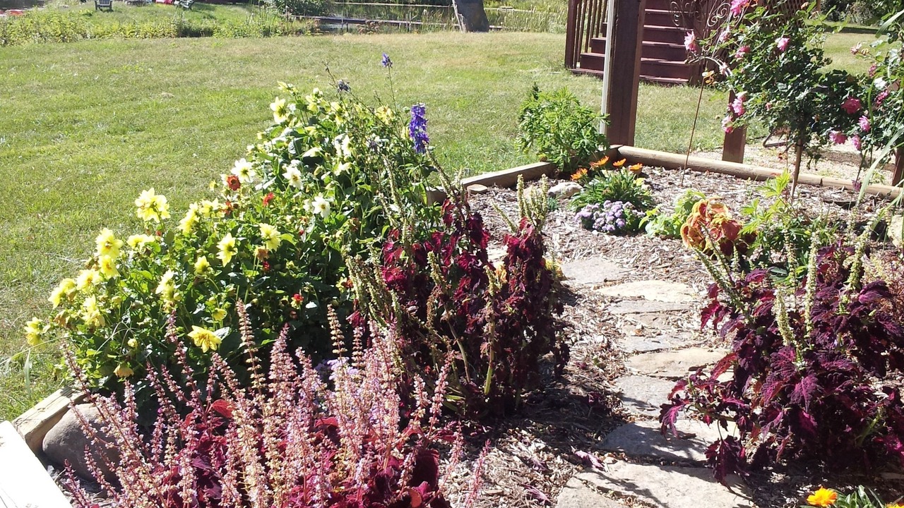 Photo of Outdoor in Richland