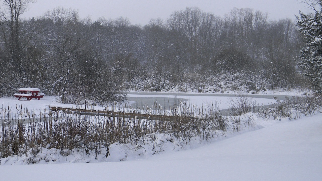 Photo of Outdoor in Richland