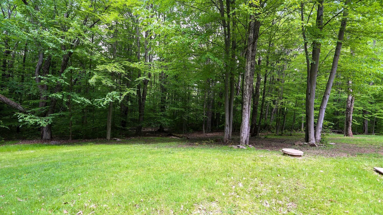 Photo of Outdoor in Old Timberline