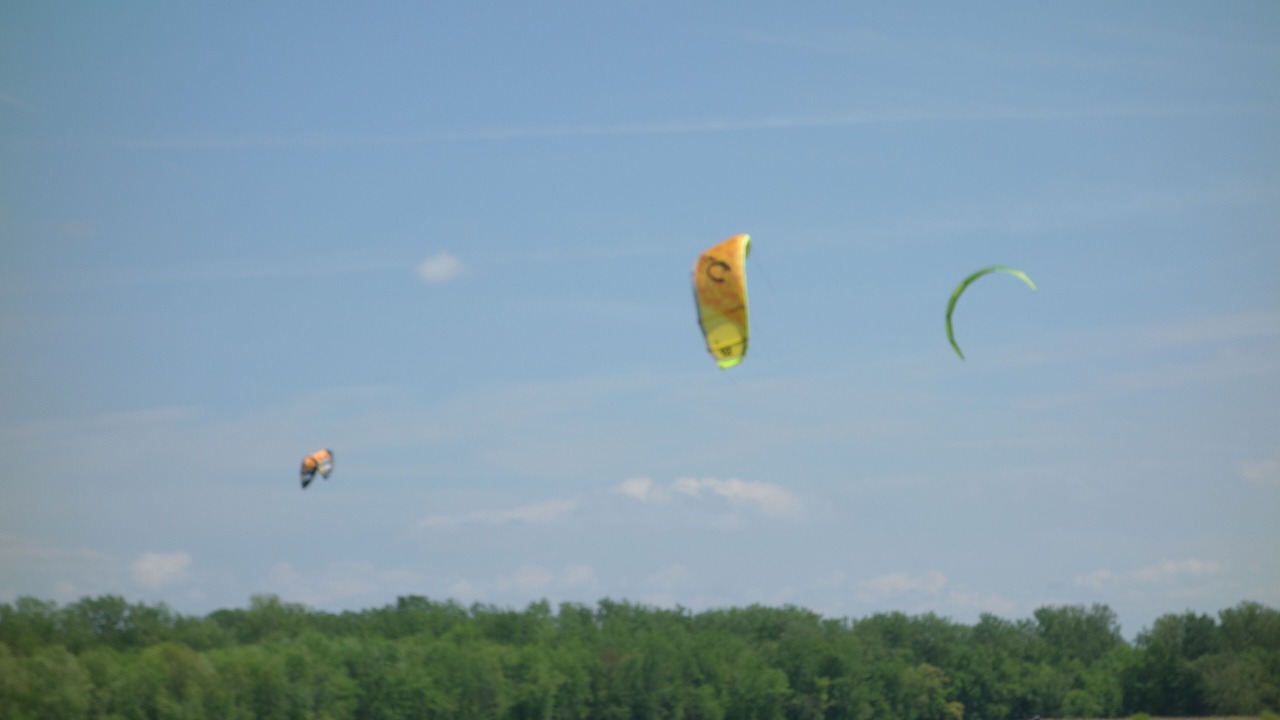 Photo of Others in Malletts Bay