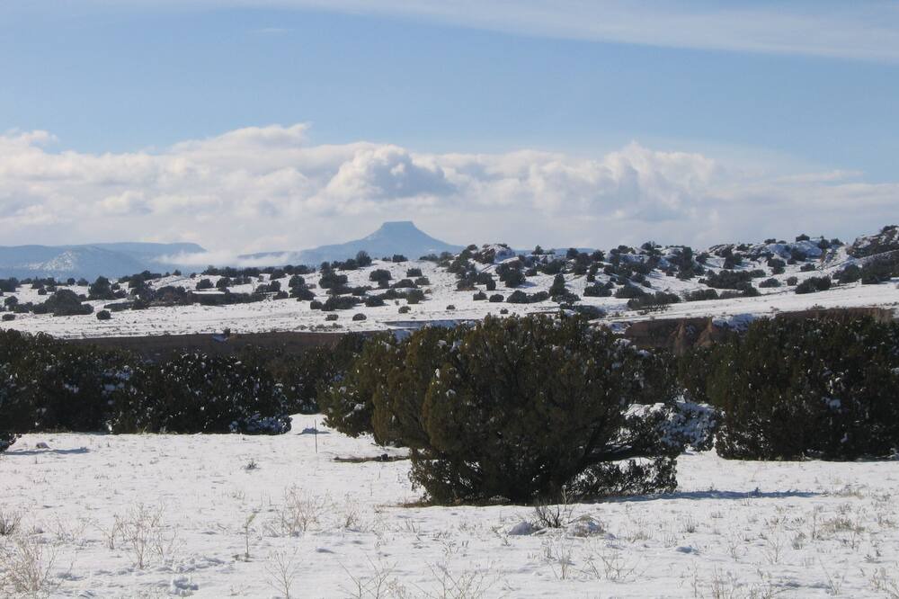 Photo of Others in Abiquiu