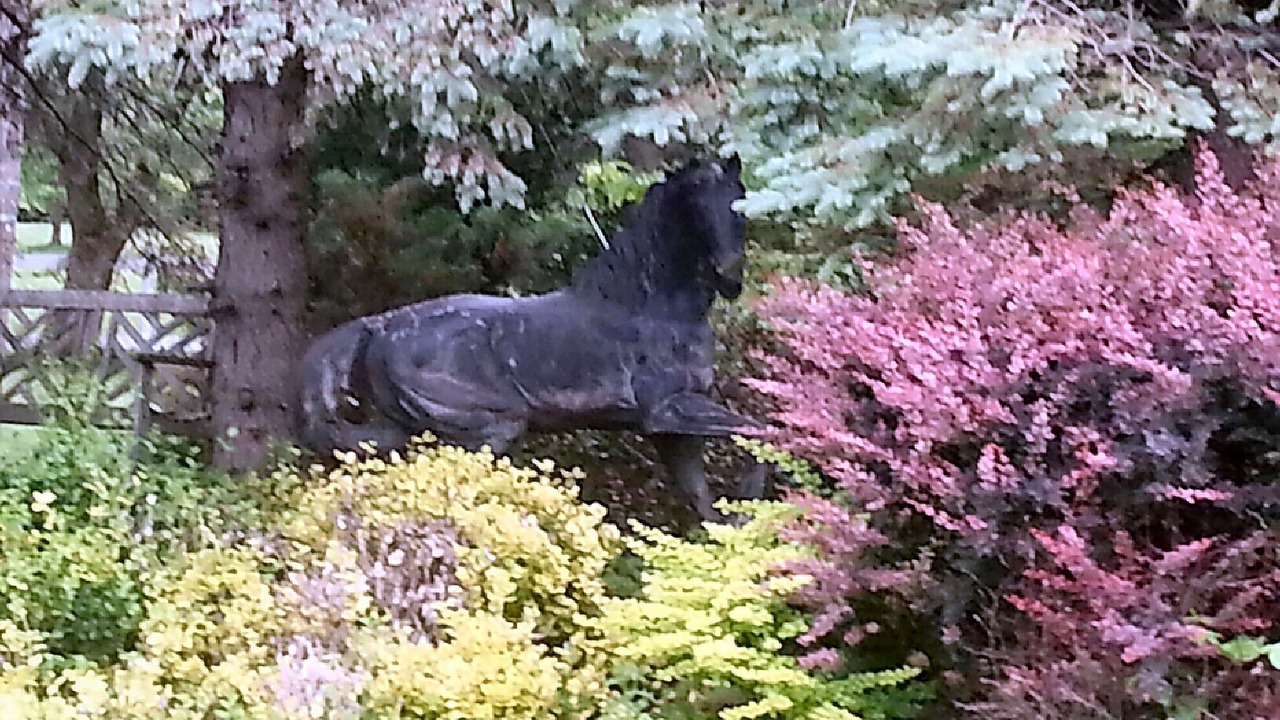 Photo of Outdoor in Chazy