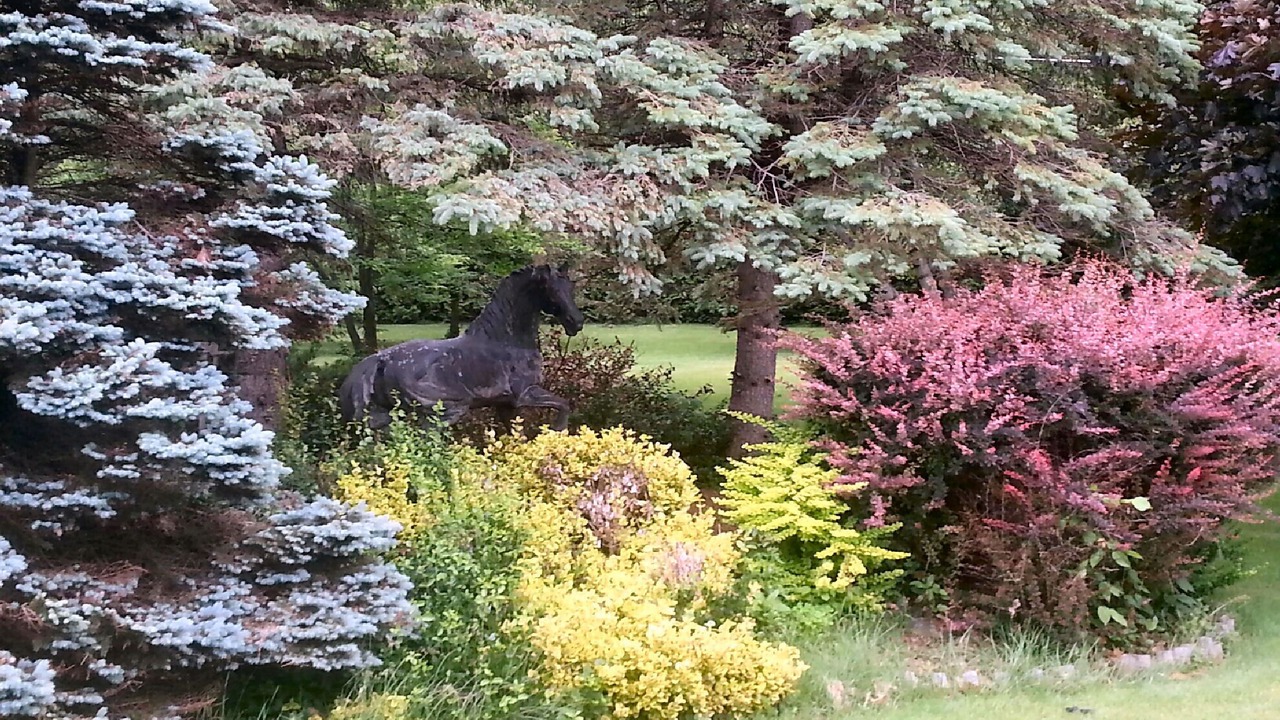 Photo of Outdoor in Chazy