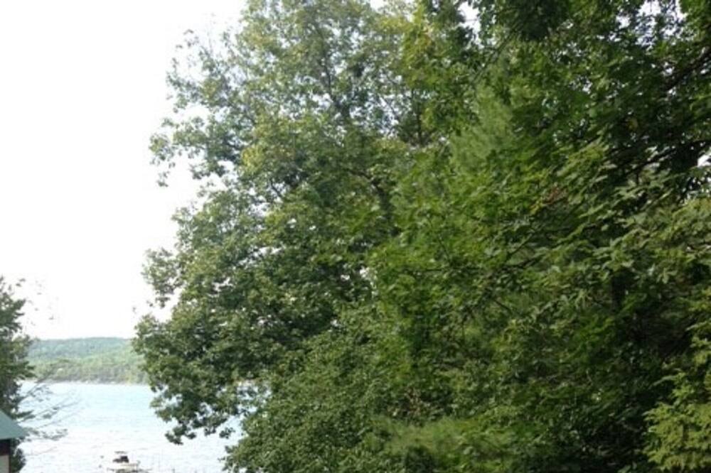 Photo of Outdoor in Vergennes