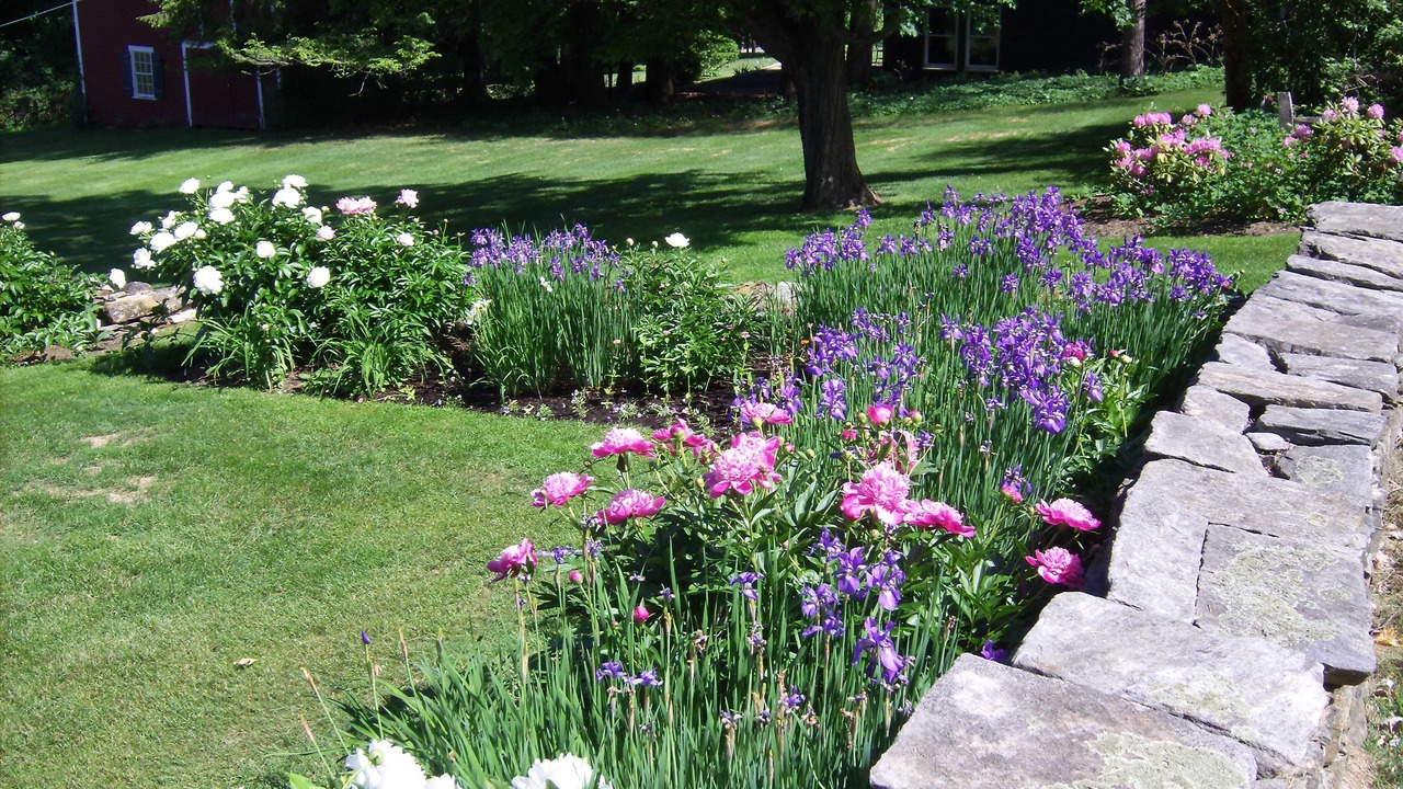 Photo of Outdoor in Old Bennington