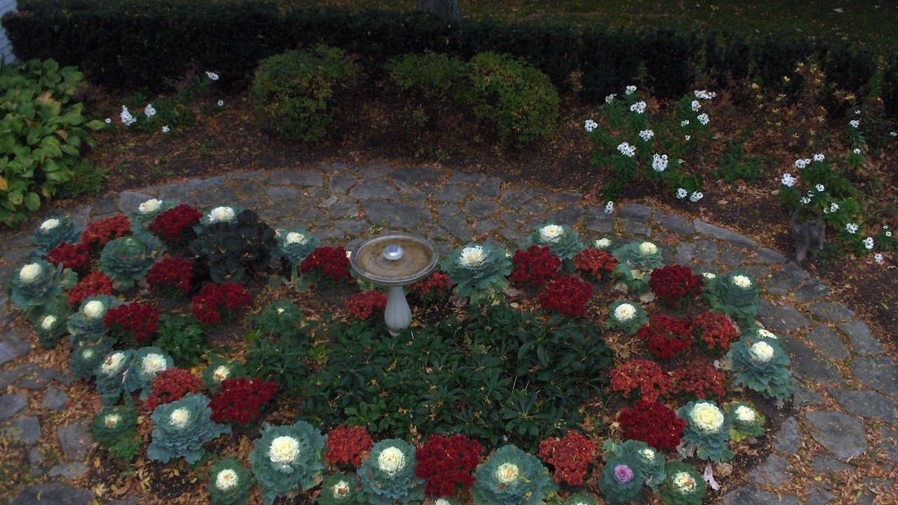 Photo of Outdoor in Old Bennington