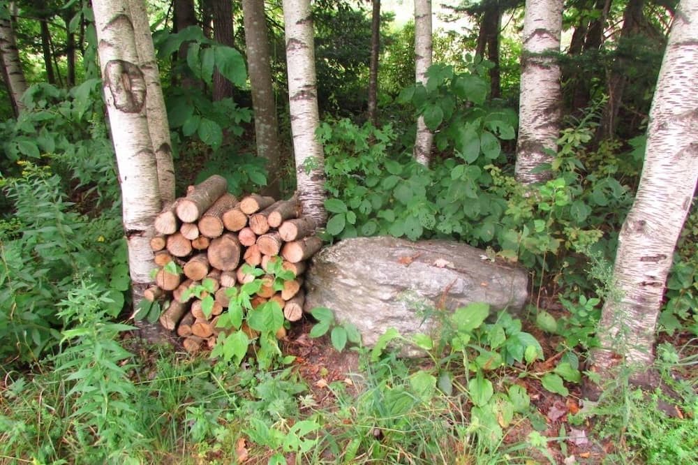 Photo of Others in Northfield