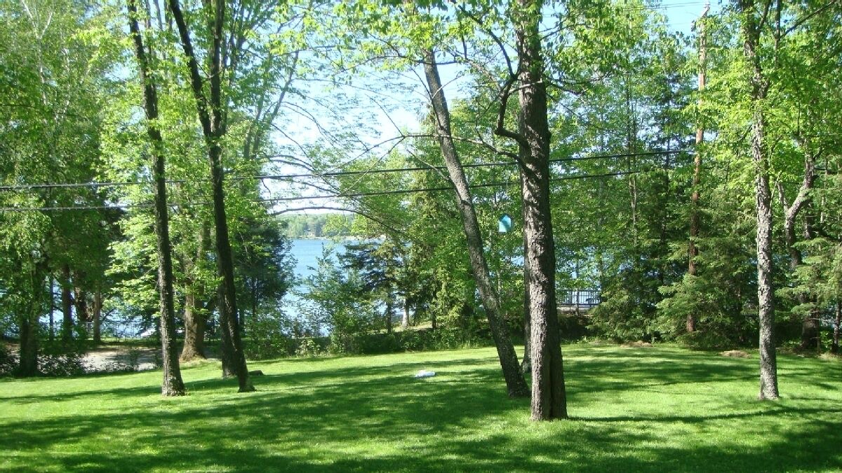 Photo of Outdoor in Copake Lake