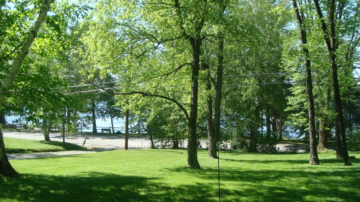Photo of Outdoor in Copake Lake