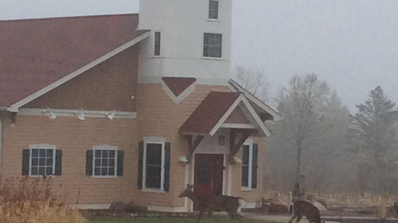 Photo of Outdoor in Palmers