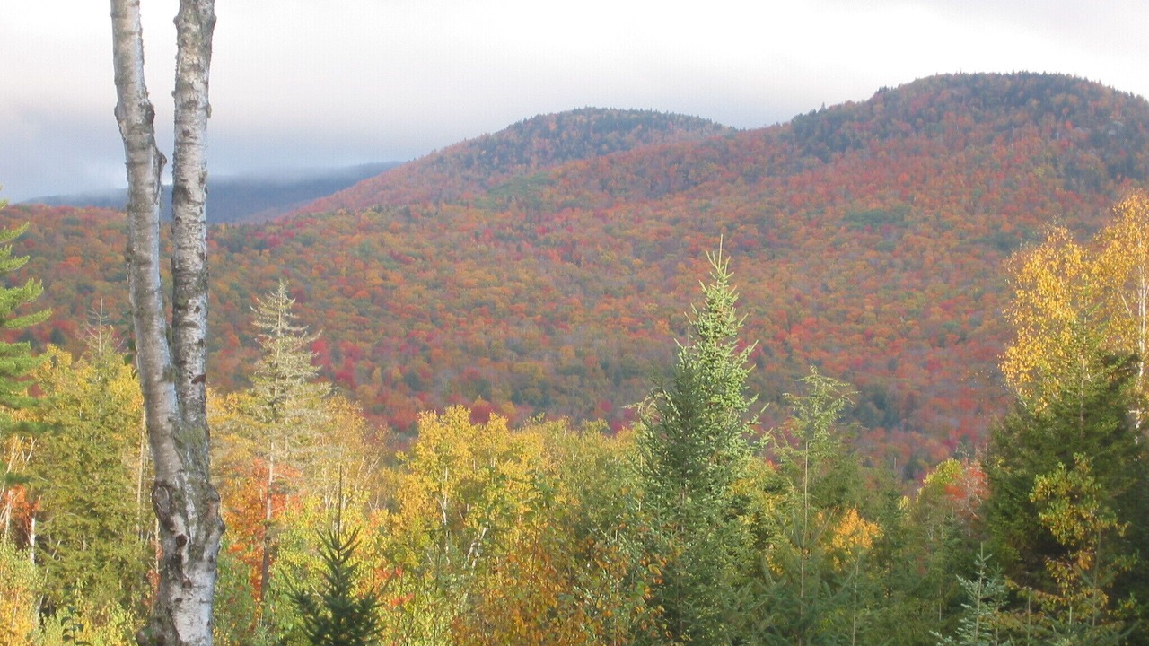 Photo of Outdoor in Campton