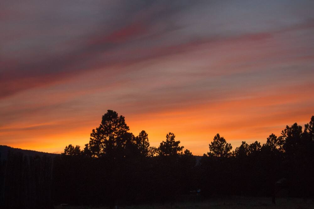 Photo of Others in Angel Fire
