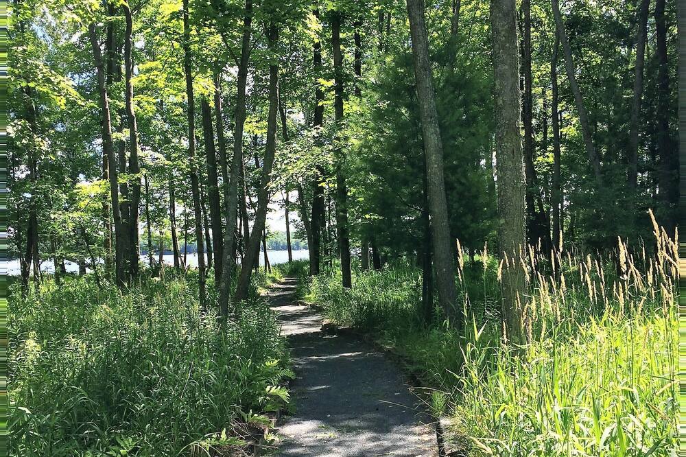 Photo of Outdoor in Milltown