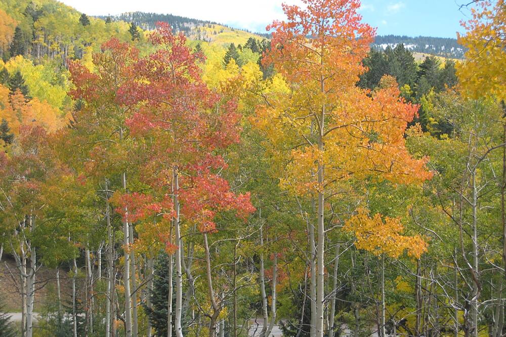 Photo of Others in Santa Fe