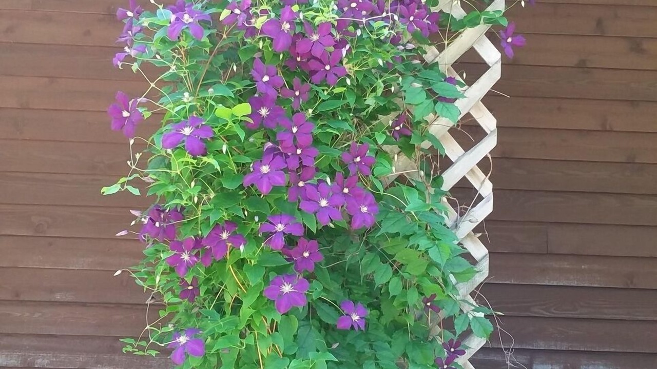 Photo of Outdoor in Mineral Point