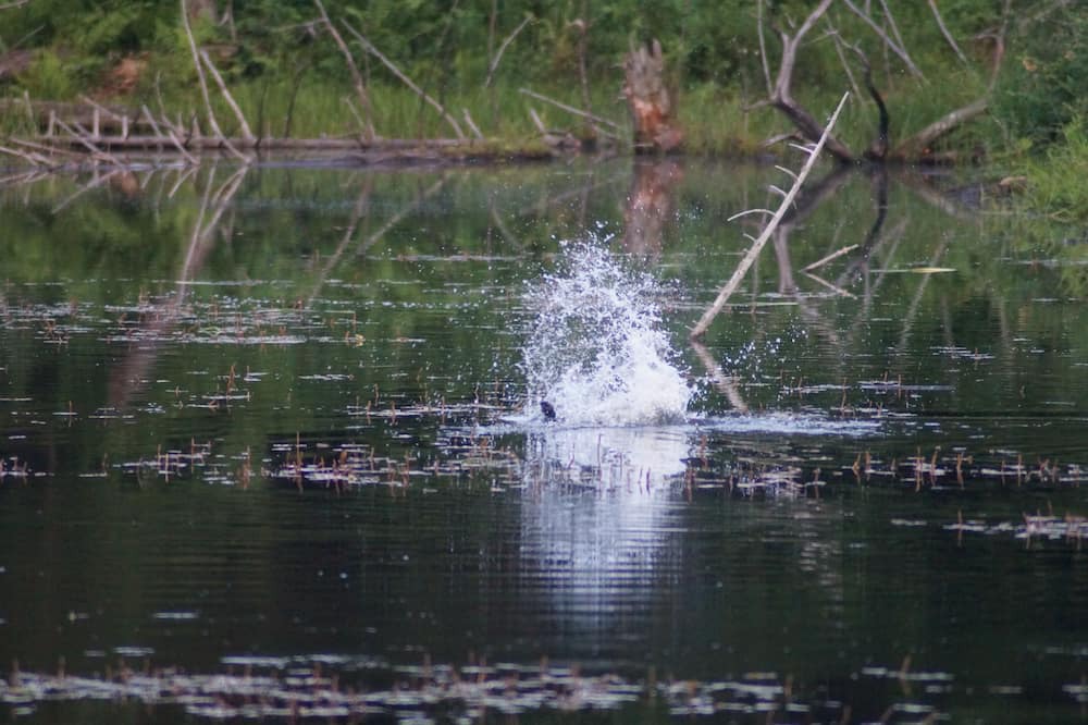 Photo of Others in Bethel