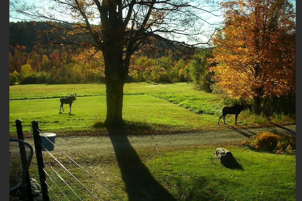 Photo of Others in Bethel