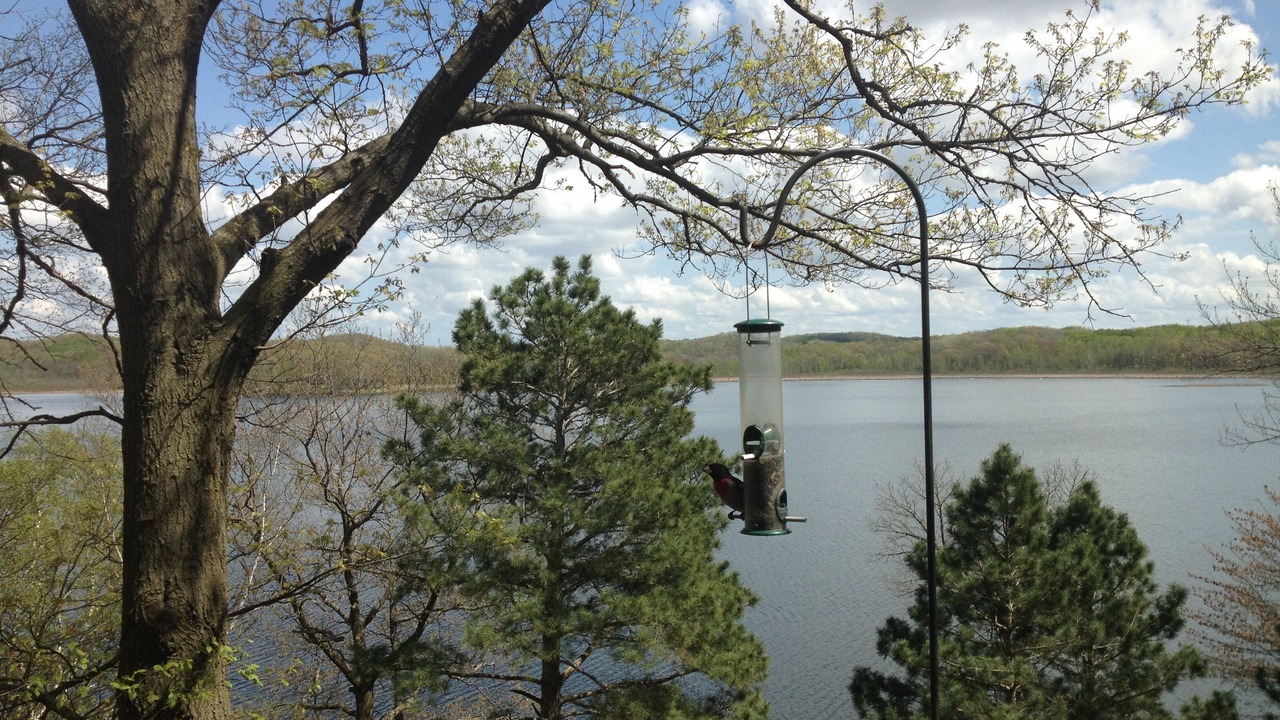 Photo of Others in Browerville