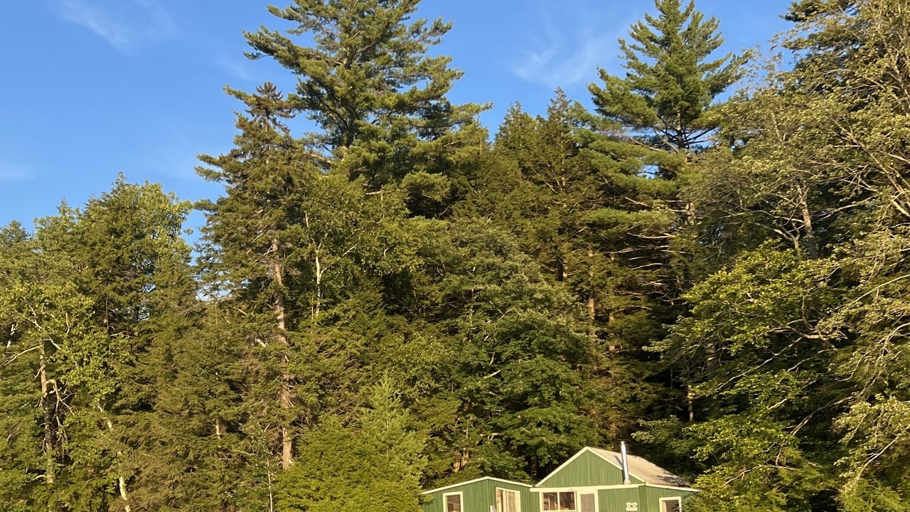 Photo of Outdoor in Windsor