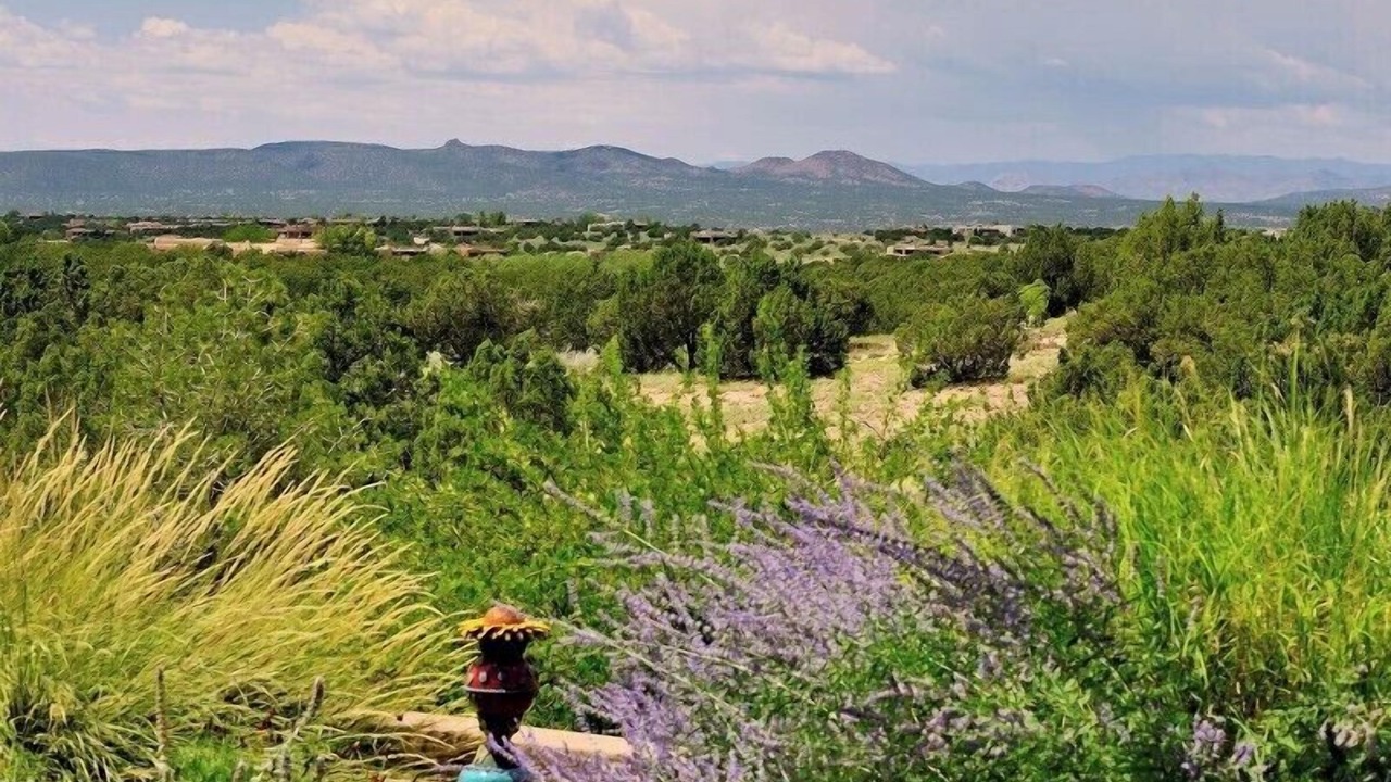 Photo of Others in Las Campanas