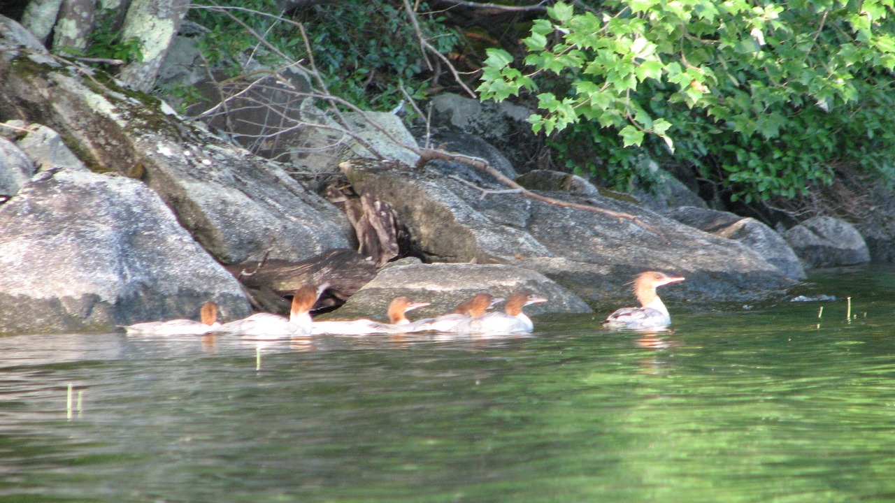 Photo of Outdoor in Holderness