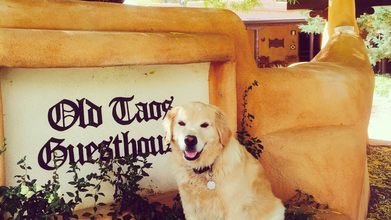 Photo of Outdoor in Taos