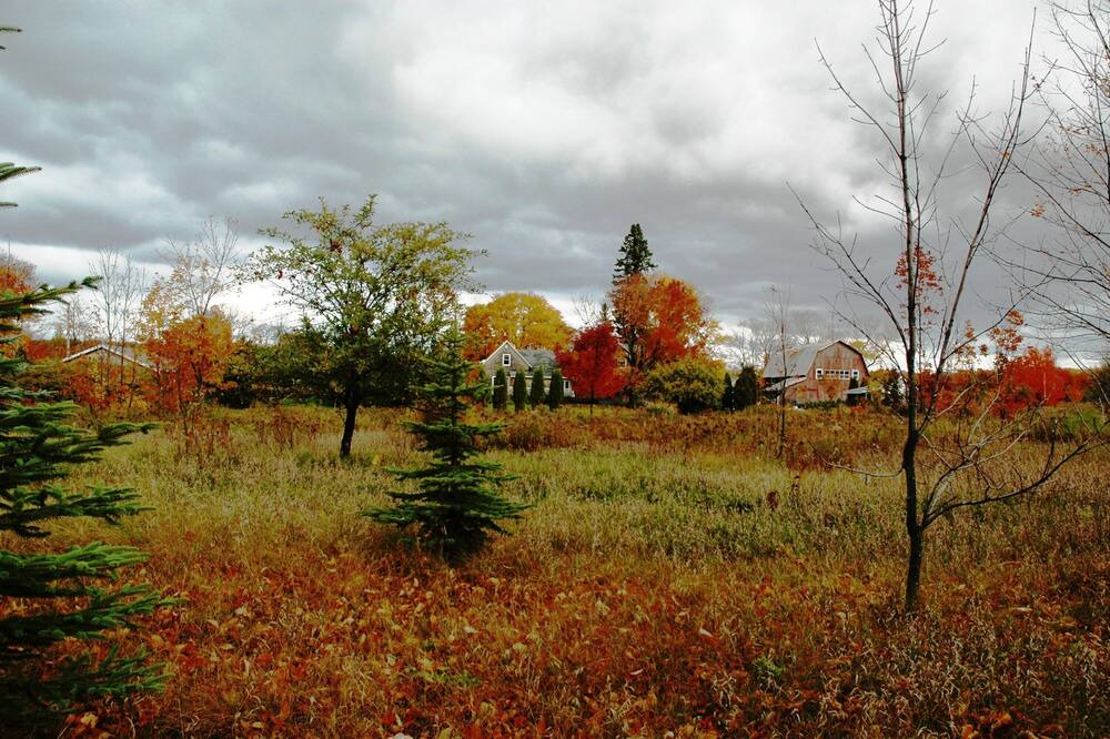 Photo of Outdoor in Egg Harbor
