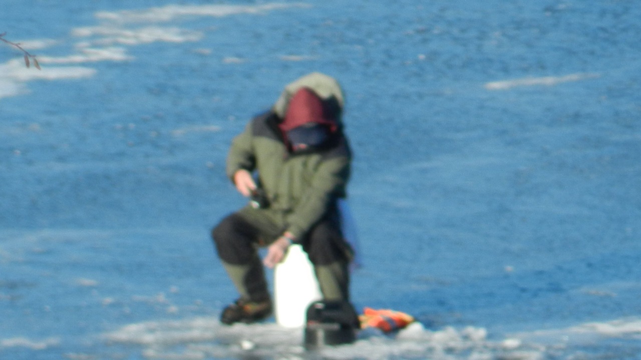 Photo of Outdoor in Gordon