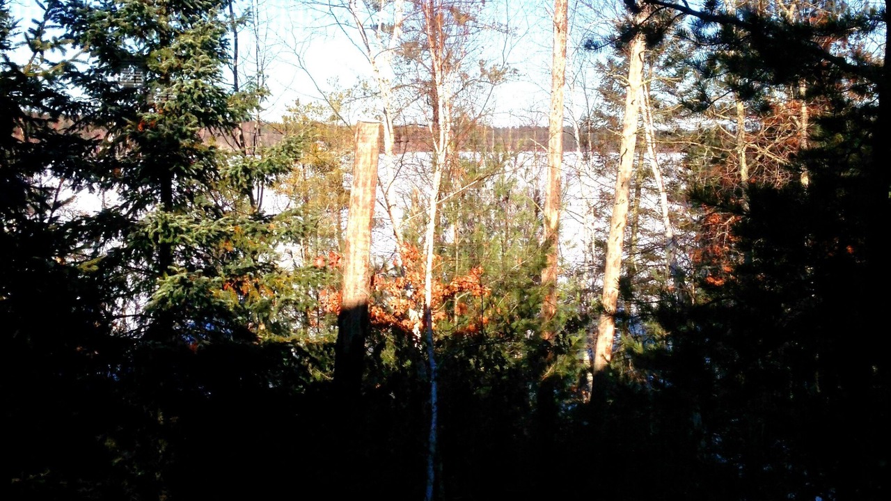 Photo of Outdoor in Gordon