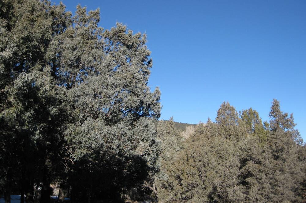 Photo of Others in Taos