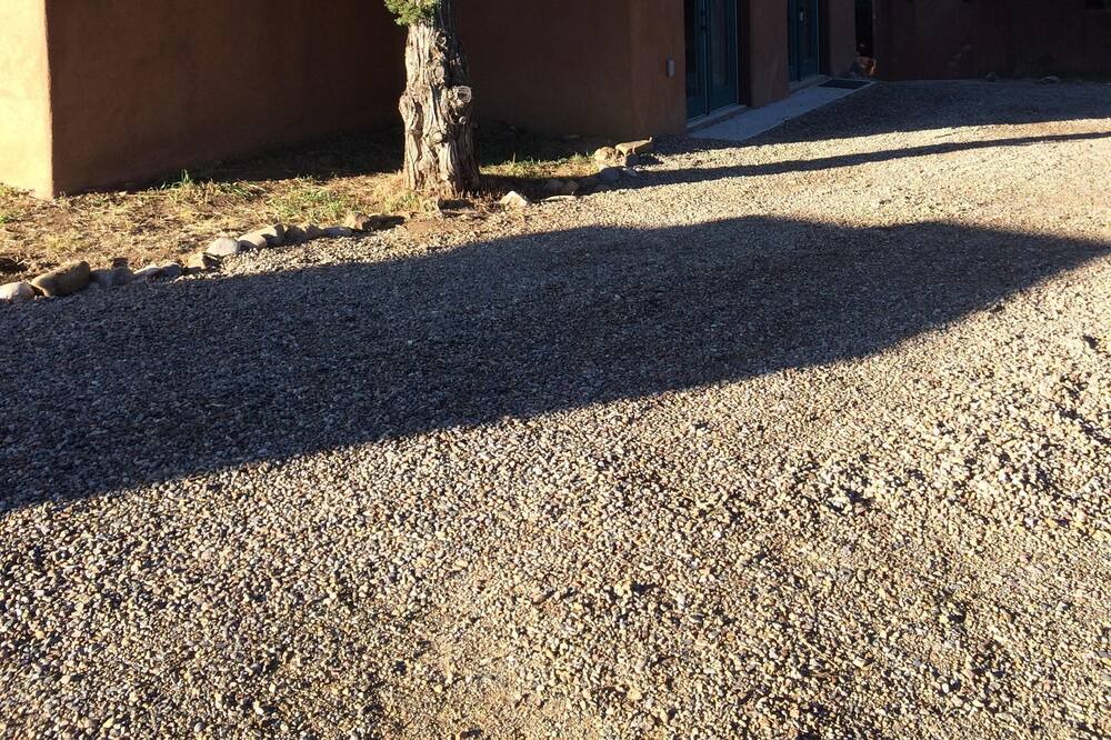 Photo of Others in Taos