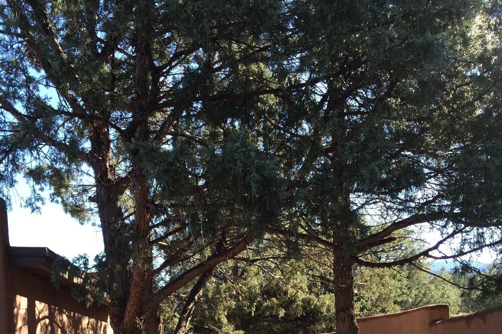 Photo of Others in Taos
