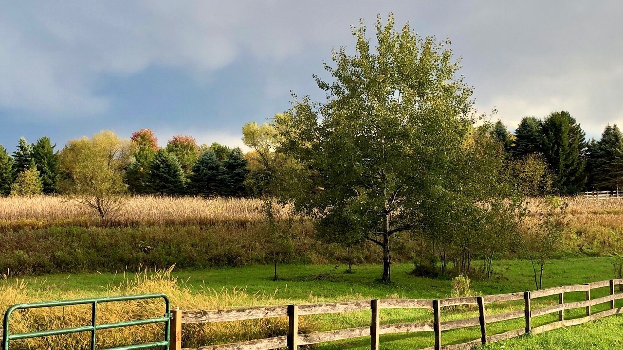 Photo of Outdoor in Afton