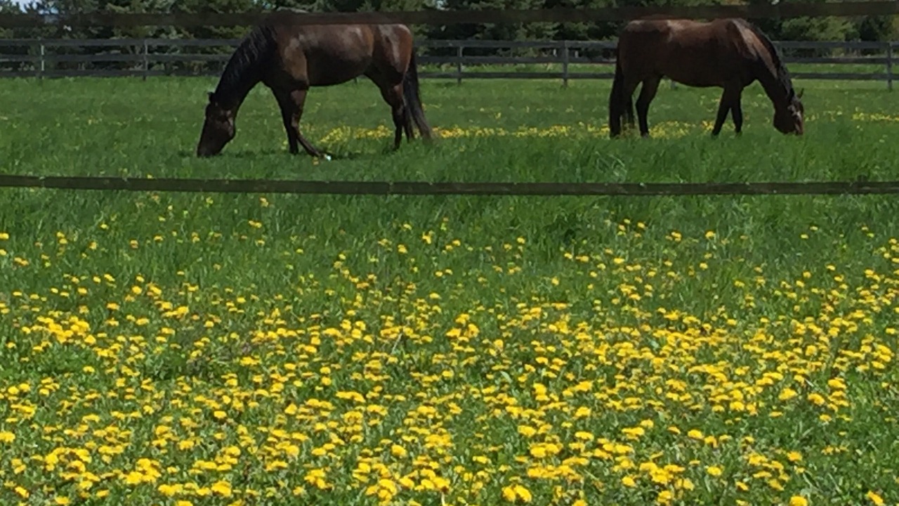 Photo of Outdoor in Afton