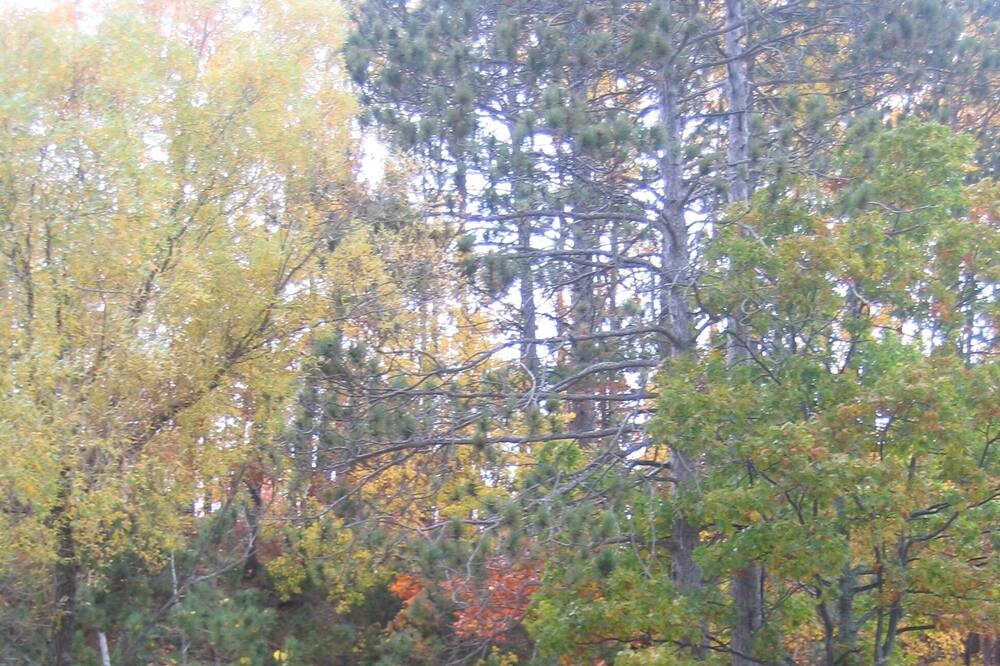 Photo of Outdoor in Hayward