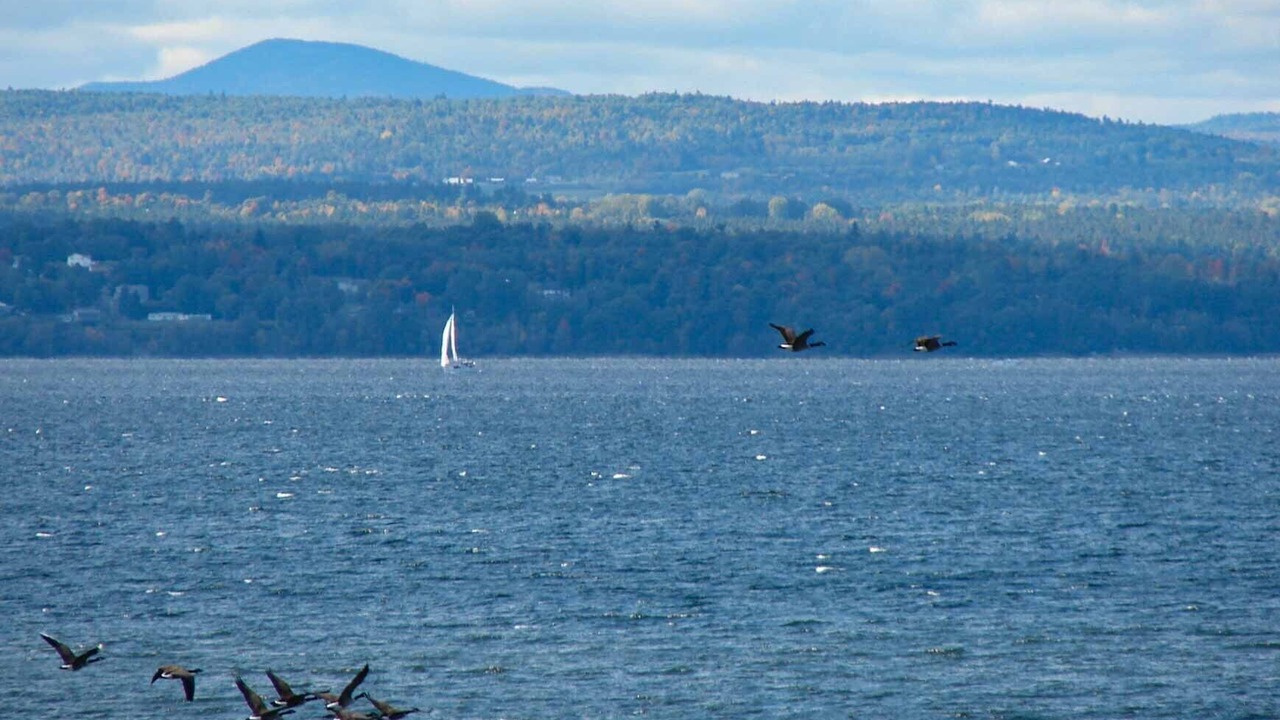 Photo of Others in Malletts Bay