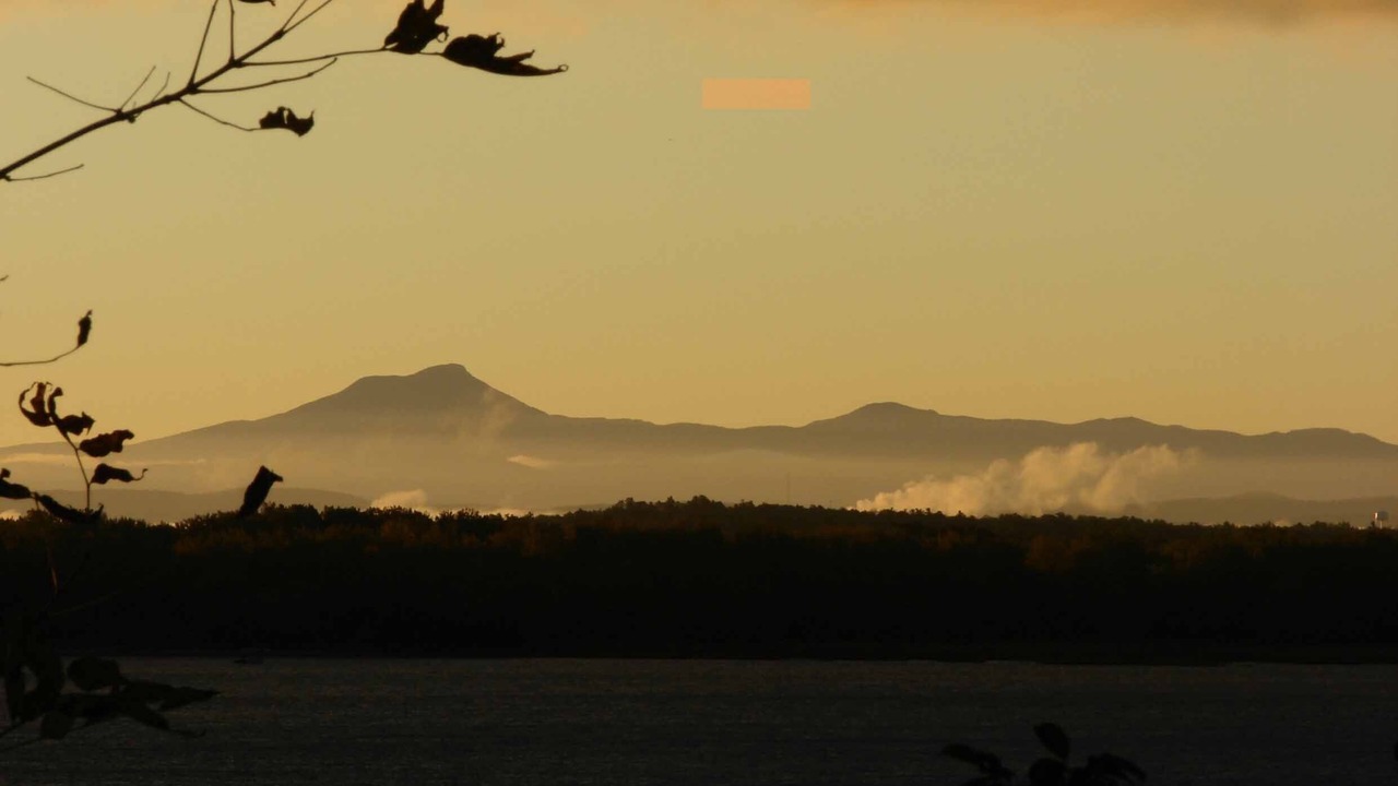 Photo of Others in Malletts Bay
