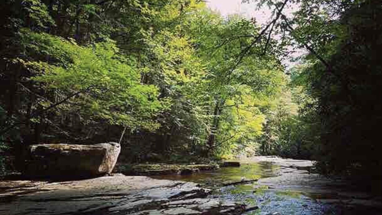 Photo of Outdoor in Daniels