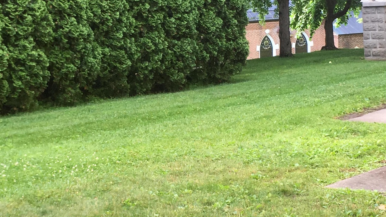 Photo of Others in Adams