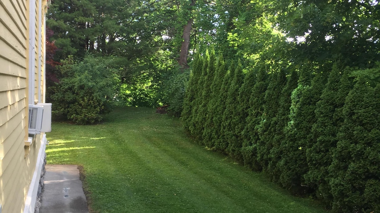 Photo of Outdoor in Adams