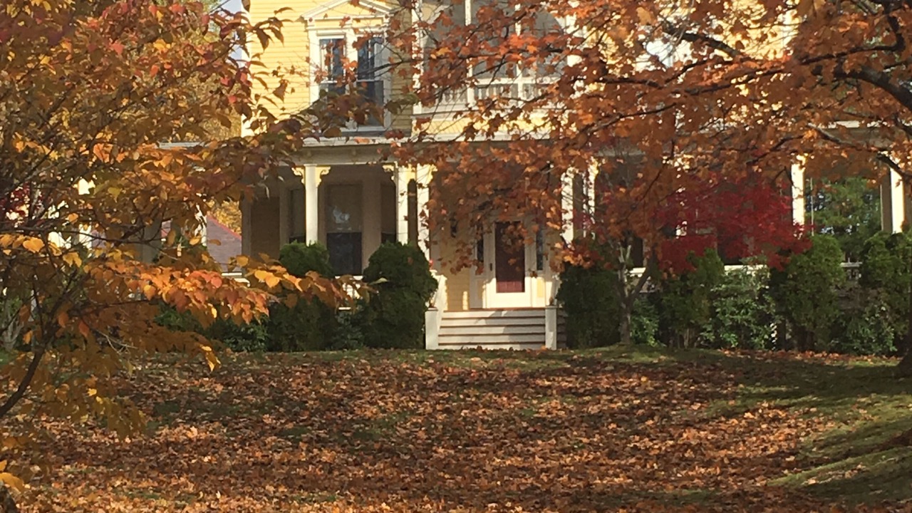 Photo of Outdoor in Adams
