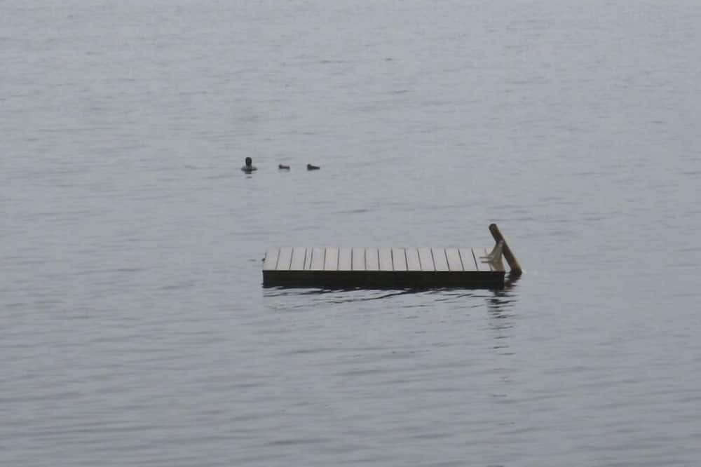Photo of Others in Holderness
