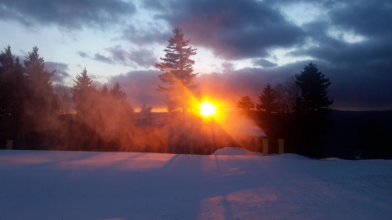 Photo of Others in Snowshoe