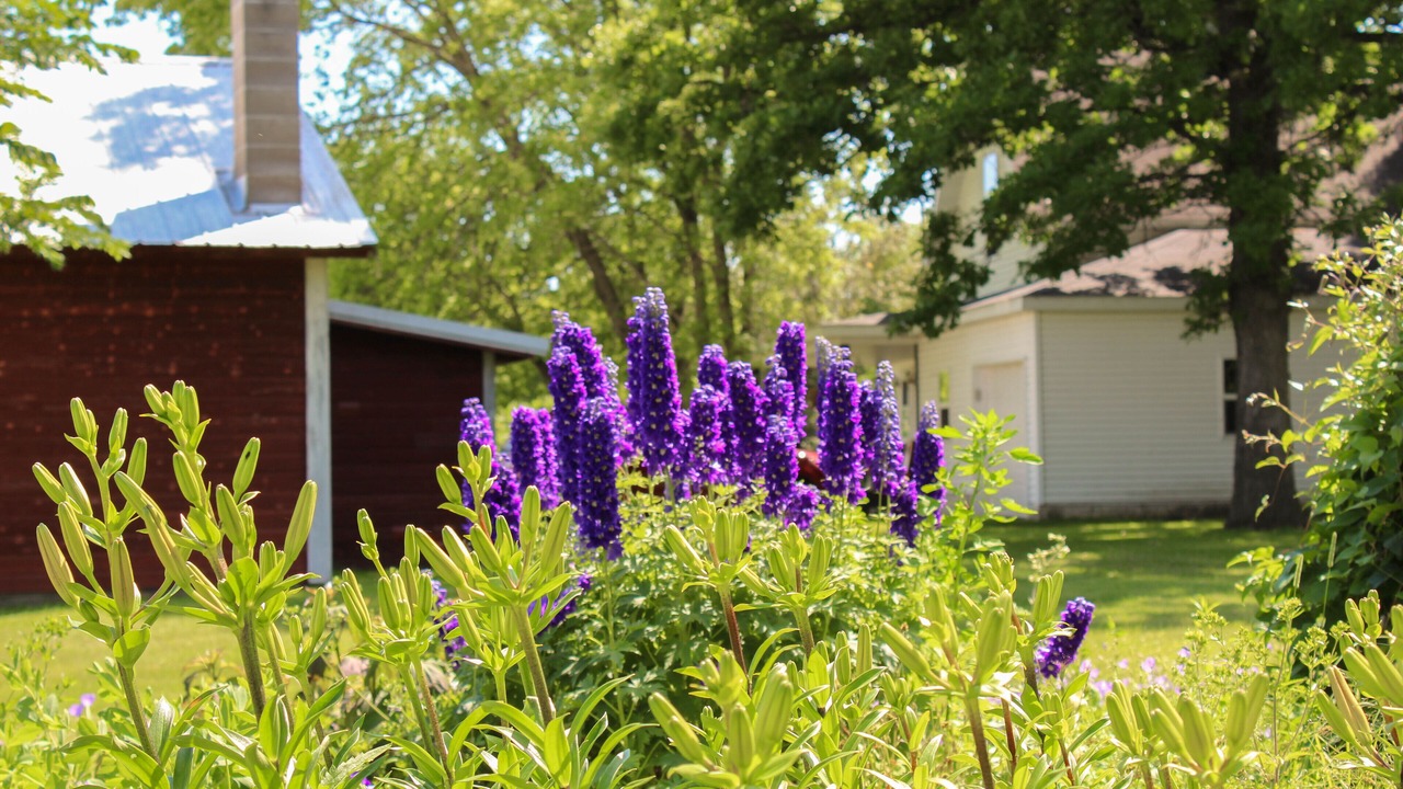 Photo of Outdoor in Little Falls